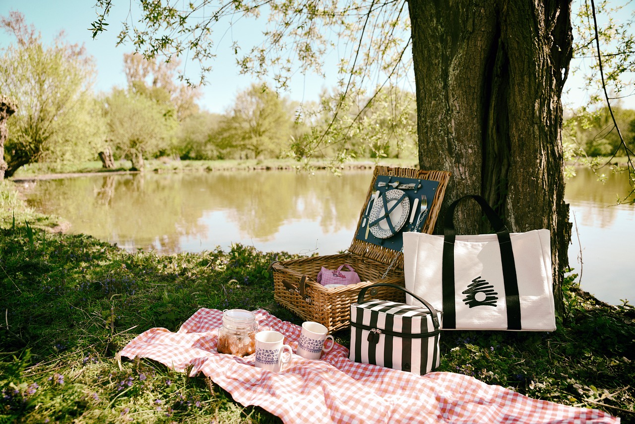 AAMI Community Picnic 2026